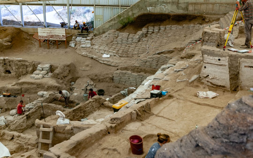 Organització, professionalització i adaptació de serveis a una empresa de gestió de patrimoni cultural i arqueologia