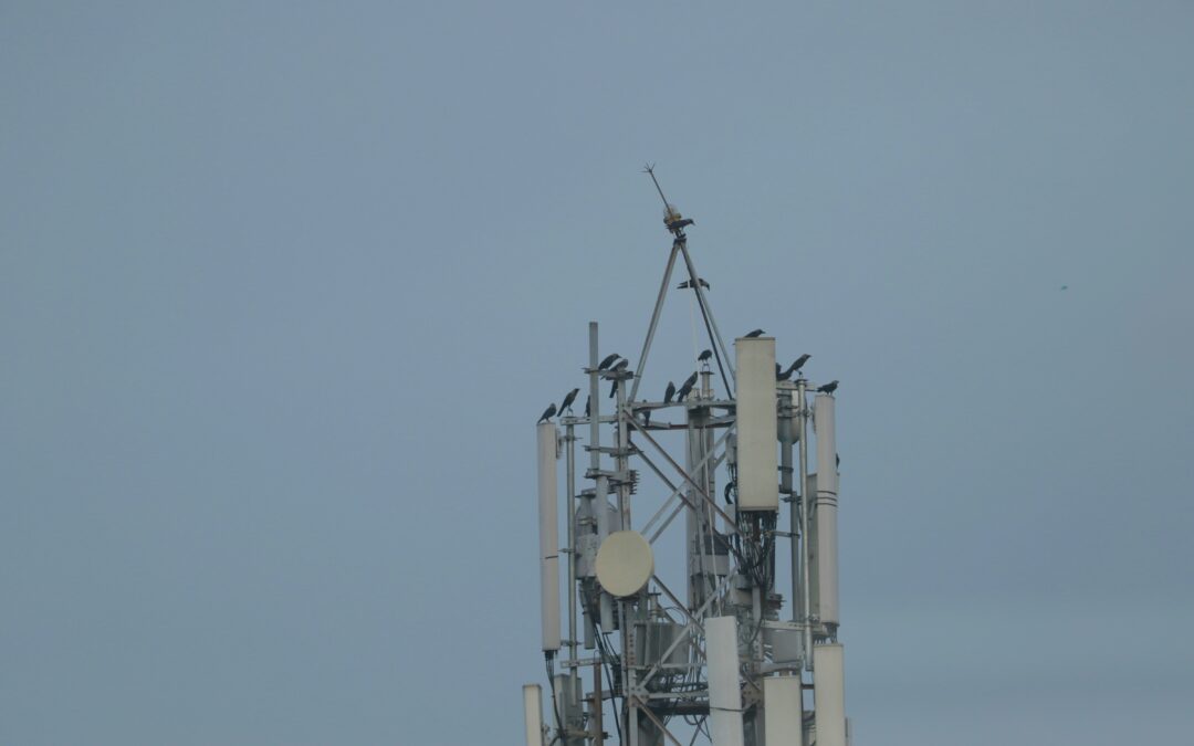 Assessorament en el finançament d’una companyia del sector de les telecomunicacions