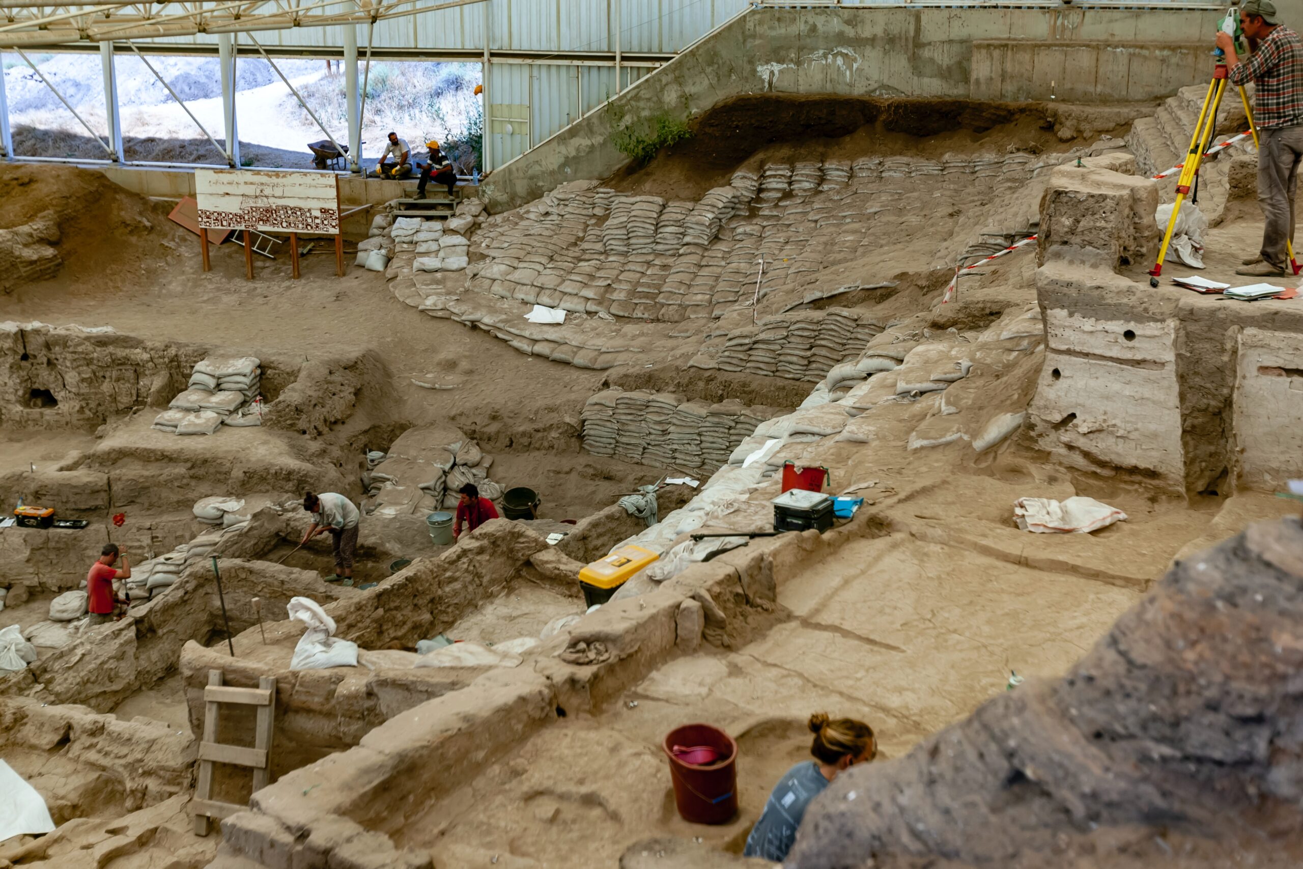 Organització, professionalització i adaptació de serveis a una empresa de gestió de patrimoni cultural i arqueologia